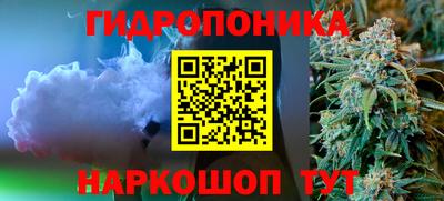 крисы Ипатово