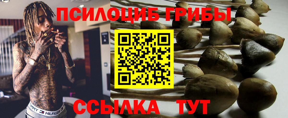 Курчатов  Псилоцибиновые грибы мухоморы  Вход с VPN 