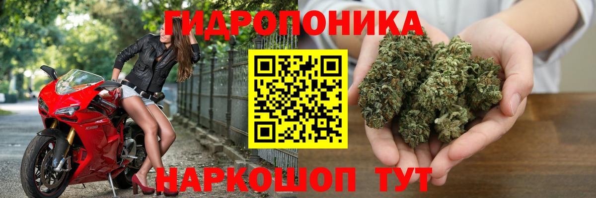 Бошки Шишки гибрид  Конопля конопля  Вход с VPN  Курчатов 